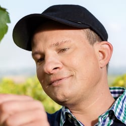 TIRZA – Weingut & Gästezimmer Edelmann