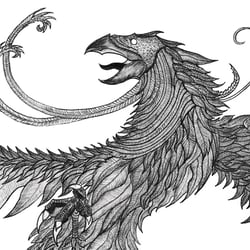 Adler | Illustration