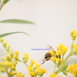 Nature 2014 – Foto Übunge