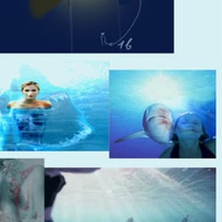 Storyboards
