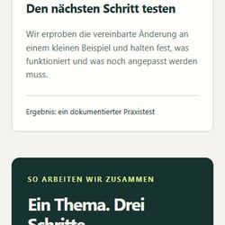 Fiktive Arbeitsprobe – Smartphone