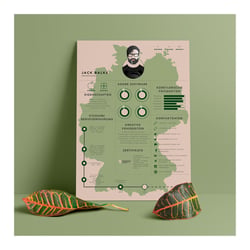 Lebenslauf als Infografik Nr. 3