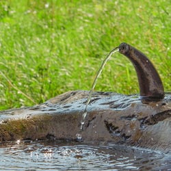 Thirst