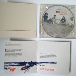 Corporate Design – Alternative Band „Foodcoma“ – Gesamtgestaltung