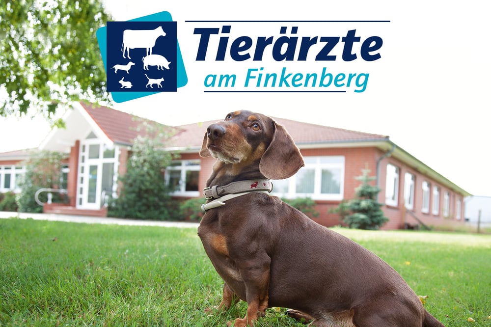 Logo-Design