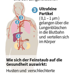 Feinpartikel