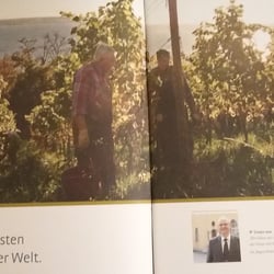 Text für Broschüre Weingut