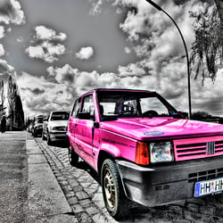 pink panda