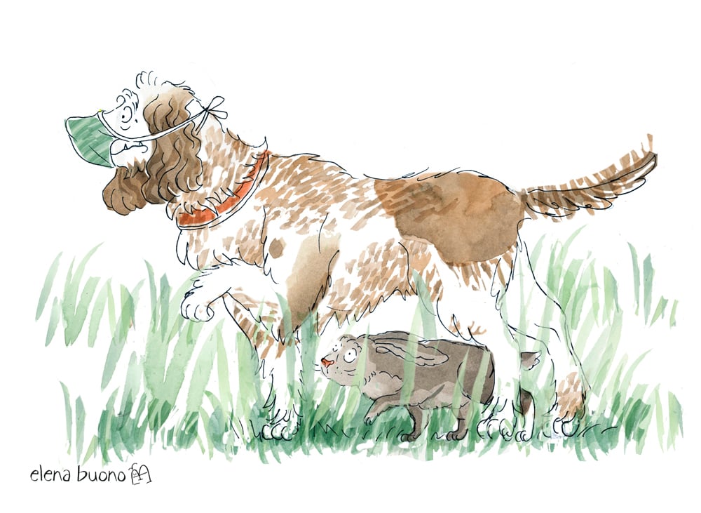 Jagdhund