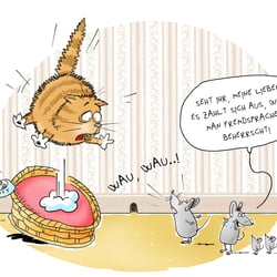 Fremdsprachenkenntnis
