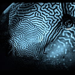 Abstract Macro