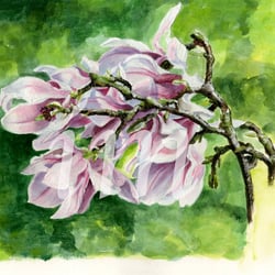 Magnolie, Spachtelmasse und Acryl auf Papier