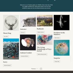 „Wildlife Artist of the Year“-Finalisten