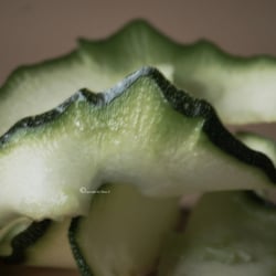 Zuchini Food Foto Übungen März 2014