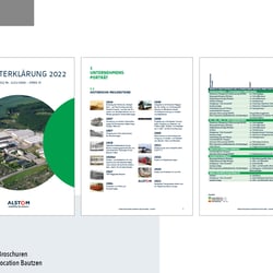 Bewerbung Grafiker Art Direktor18