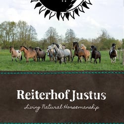 Flyer für einen Reiterhof