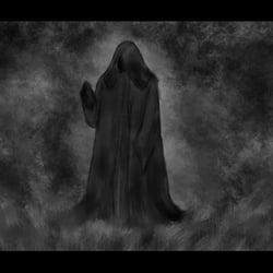 D.P.T 5