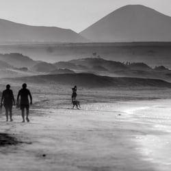 Bevis Photography