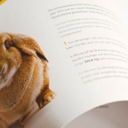 ra apmmailing 02