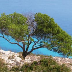 Mallorca