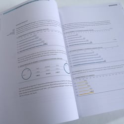 Bechtle | Geschäftsbericht 2016
