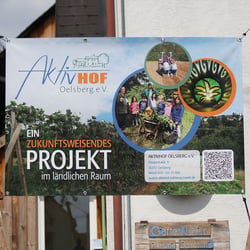 Bannerdesign und Logodesign