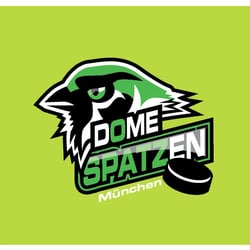 Eishockey-Verein