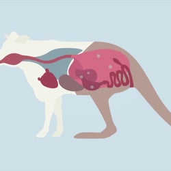 Klima Animation – Spiegel Online