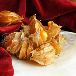 „obst de luxe“