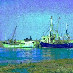 Hallig-Krimi