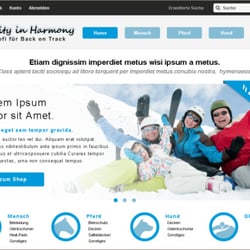 Webdesign für Fachhändler Back on Track