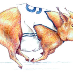 Rennschwein