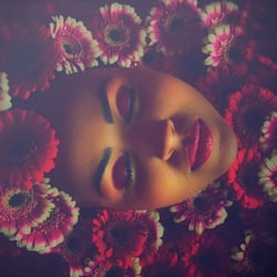 Blumen_rot
