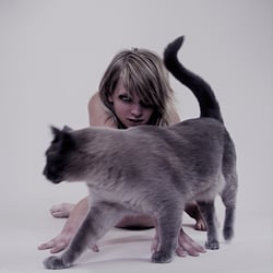 cats