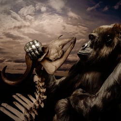 gorilla und skelett Kopie