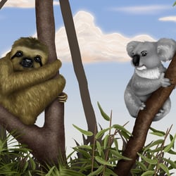 Koala und Faultier (ursprünglich als Rundumcover angelegt)