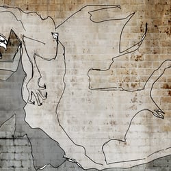 Drachen