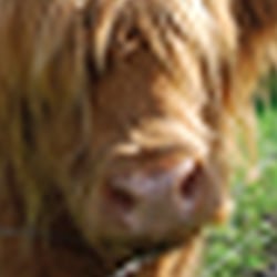 Anzeige für Reiseveranstalter