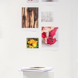 Ausstellung