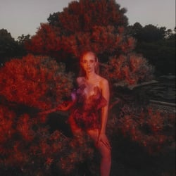 Editorial