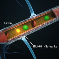 Blutgefäß
