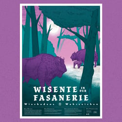 #003 Wisente in der Fasanerie