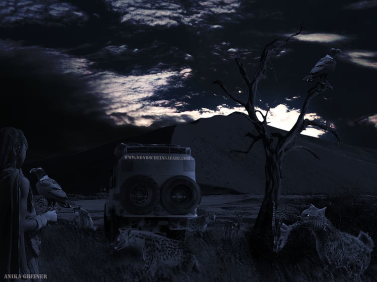 Afrika_Fotomontage