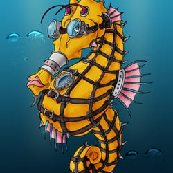 Illustration Seepferdchen