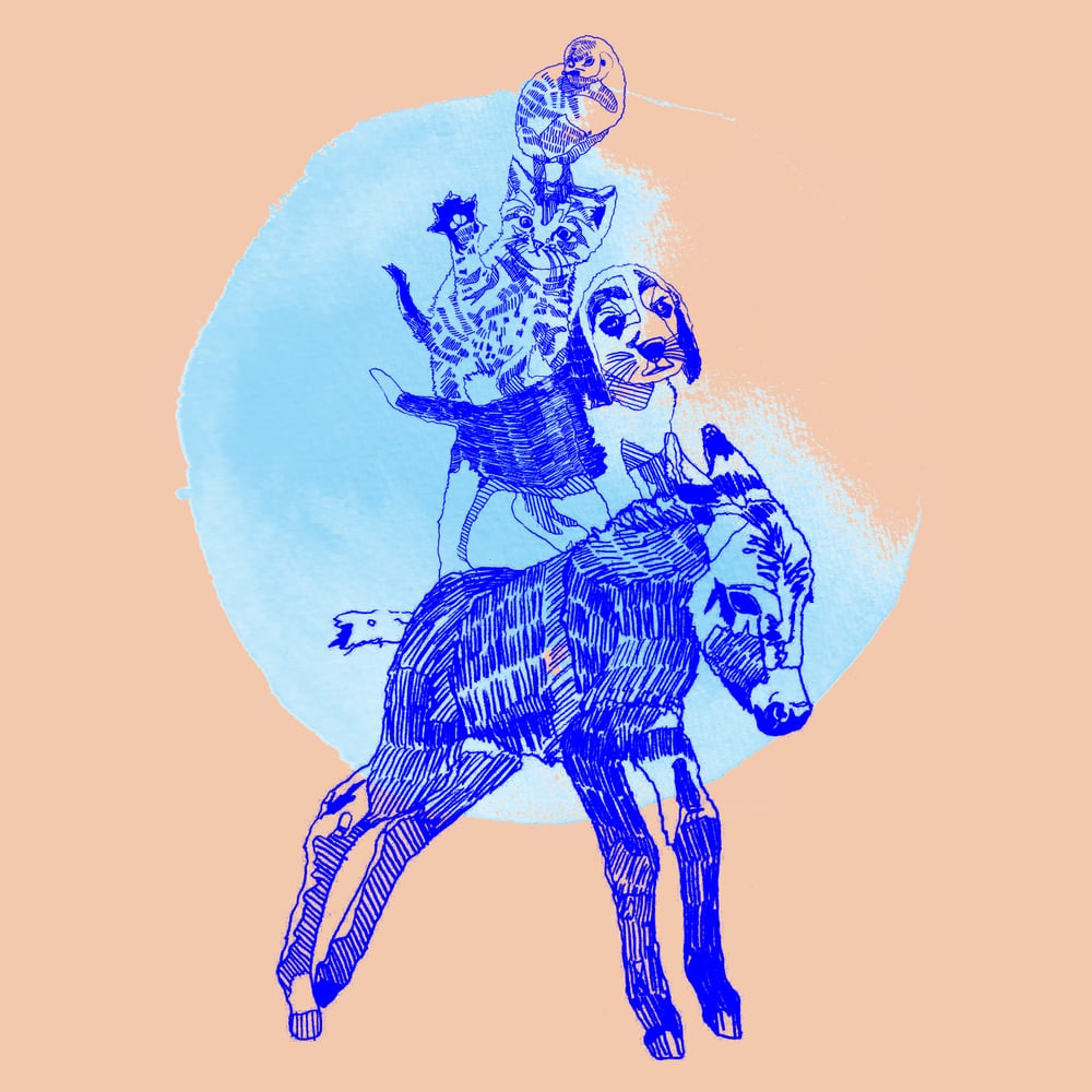 Junge-Kanten