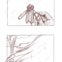 Werbespot Storyboard Haarwachstumsmittel 2