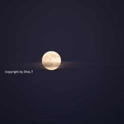 Moon Jun. 2014 © by Dina.T