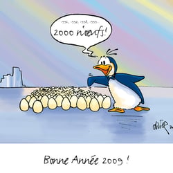 Neujahr 2009