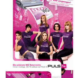 PULS 4 Model WG