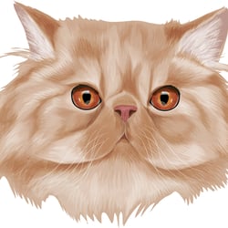 PersianCat